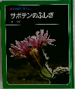 サボテンのふしぎ