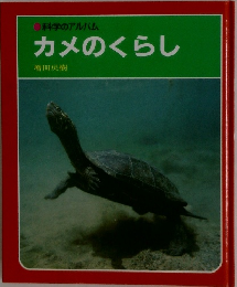 カメのくらし