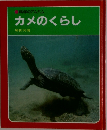 カメのくらし