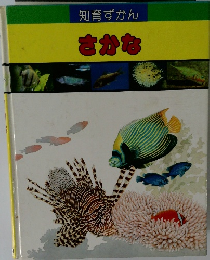 知育ずかん  さかな