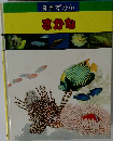 知育ずかん  さかな