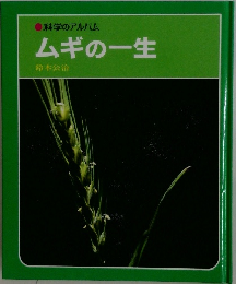 科学のアルバム  ムギの一生