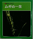 科学のアルバム  ムギの一生