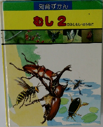 むし 2　かぶとむし・はちなど
