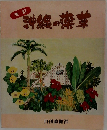 沖縄の茶草 　改訂