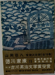 徳川家康 11