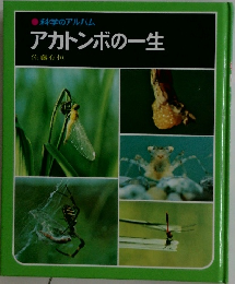 アカトンボの一生