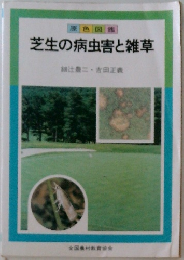 芝生の病虫害と雑草