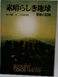素晴らしき地球