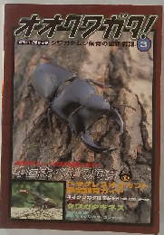 月間むし８月増刊 オオクワガタ ３