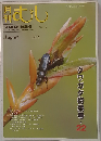 月刊 むし 2010年 08月号