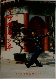 北螳螂崩歩拳