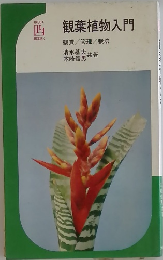 観葉植物入門　観賞/管理/栽培