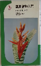 観葉植物入門　観賞/管理/栽培