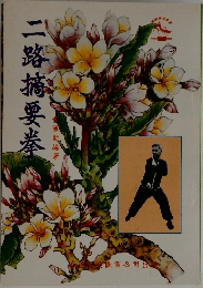 二路摘要拳