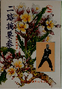 二路摘要拳