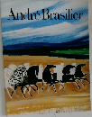 Andre Brasilier