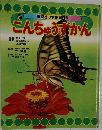 こんちゅうずかん