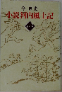小説河内風土記