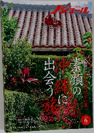 ノジュール　6