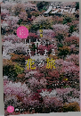ノジュール 2