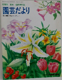 新種苗 夏秋 臨時増刊誌  園芸だより