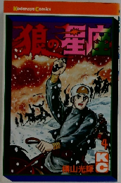 三国志 22
