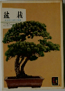 盆栽