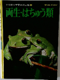 両生・はちゅう類