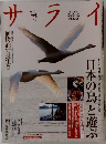 サライ　2008年3/6号