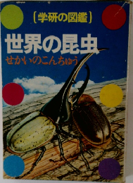 世界の昆虫