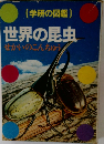 世界の昆虫