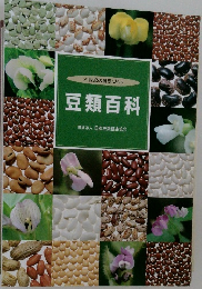 豆類百科