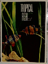 TROPICAL　FISH