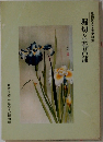 堀切と花菖蒲