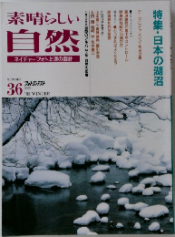 素晴らしい自然　36　1995年冬号