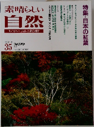 素晴らしい自然  1995秋
