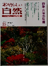 素晴らしい自然  1995秋
