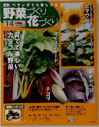 野菜づくり花づくり　２０１０年６月号　