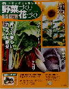 野菜づくり花づくり　２０１０年６月号　