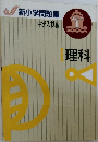 新小学問題集