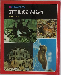 カエルのたんじょう