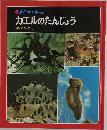 カエルのたんじょう