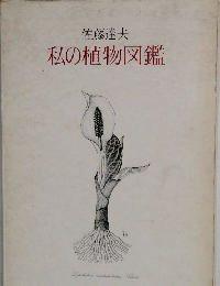 私の植物図鑑