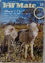 JAF　Mate　２０２２年２月号　