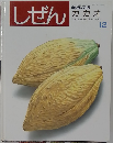 しぜん　カカオ　平成４年１２月号　