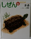しぜん　6　かめ