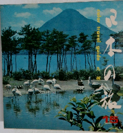 日本の旅　15　color travel guide　九州　