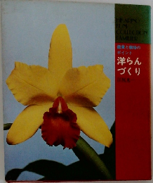 洋らんづくり