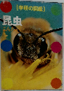 昆虫　